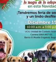 Banner jornada de adopción diciembre 15 de 2024