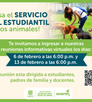 Perros con cuidadores en el parque 