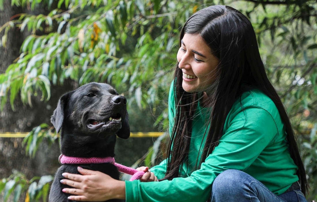 IDPYBA invita a la ciudadanía a la jornada de adopción de este fin de semana 🐶😻