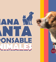 Semana Santa Responsable con los Animales, la campaña con la que el IDPYBA busca fomentar su cuidado y protección