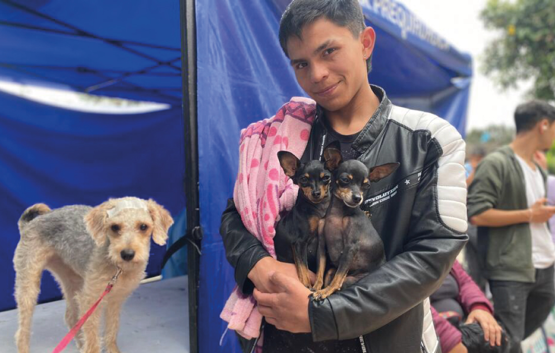 Más de 80 animales fueron atendidos en jornada integral de esterilización y brigadas médicas en Potreritos, localidad de Bosa