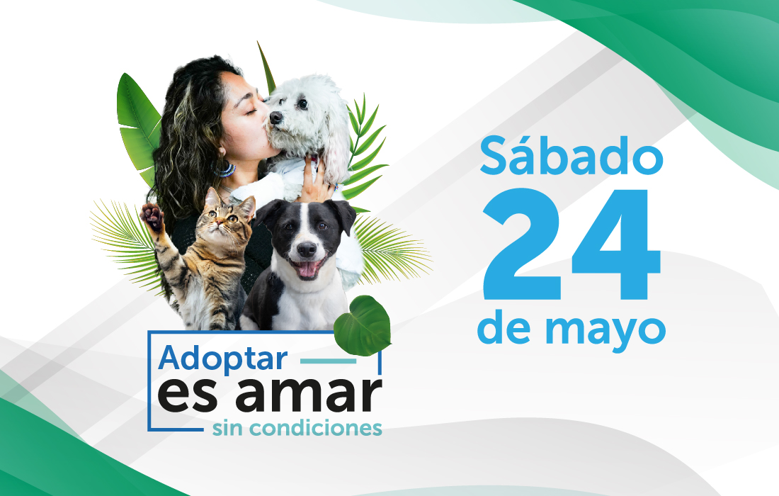 IDPYBA invita a la gran jornada: “Adoptar es Amar sin Condiciones” el sábado 24 de mayo en el CEFE Chapinero