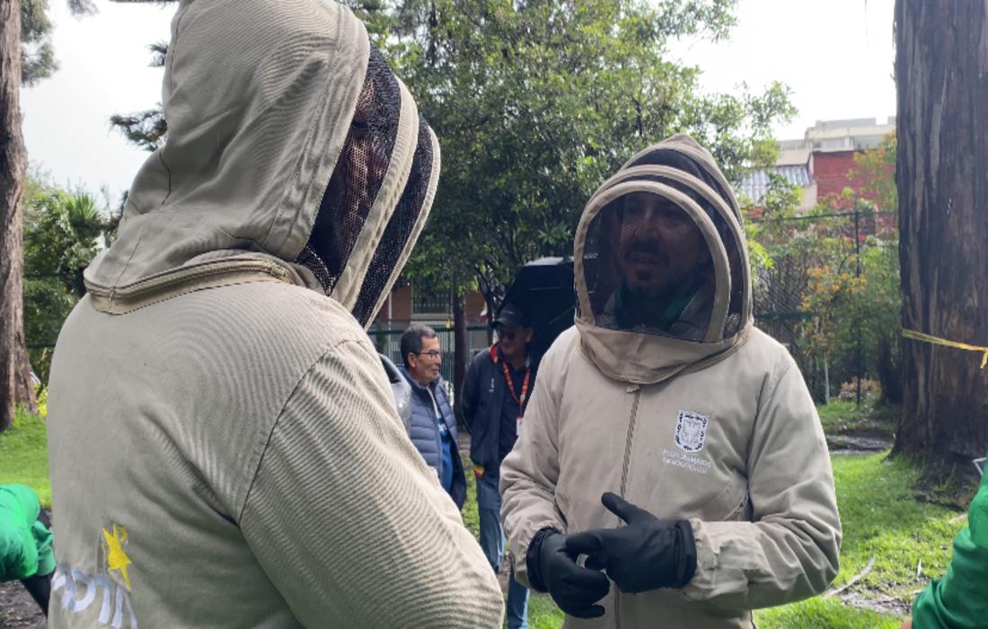 Distrito conmemora el Día Mundial de las Abejas con jornada en Usaquén