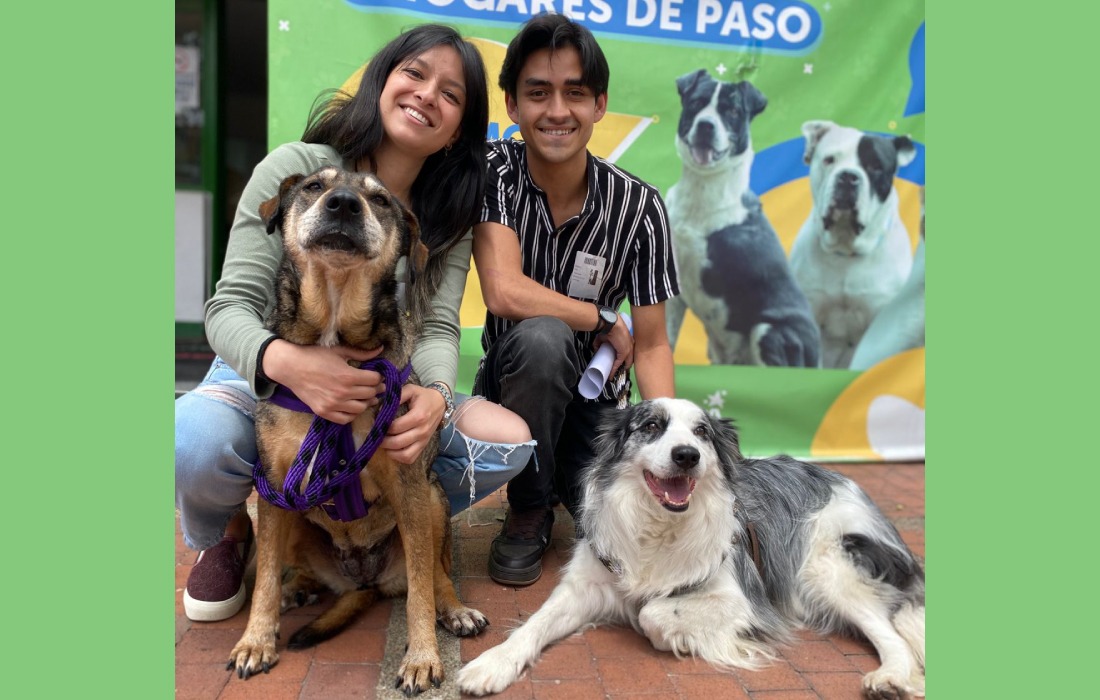 CECILIA: del abandono casi eterno al paraíso de una nueva familia
