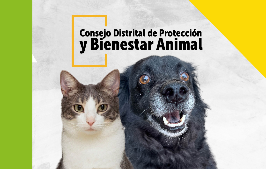 IDPYBA convoca a los interesados en la elección del Consejo Distrital de Protección y Bienestar Animal