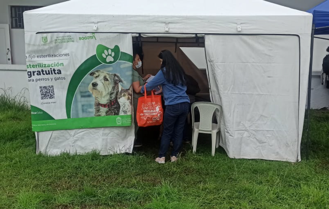 jornada de esterilización 10 de junio punto fijo U Nacional