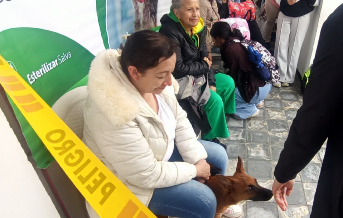 jornada de esterilización 10 de junio punto fijo U Nacional