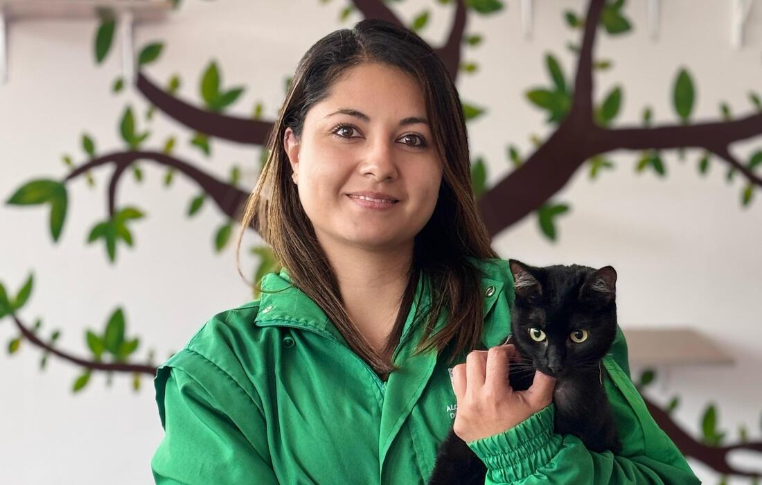 Proyectos para la defensa, protección y transformación en favor de los animales