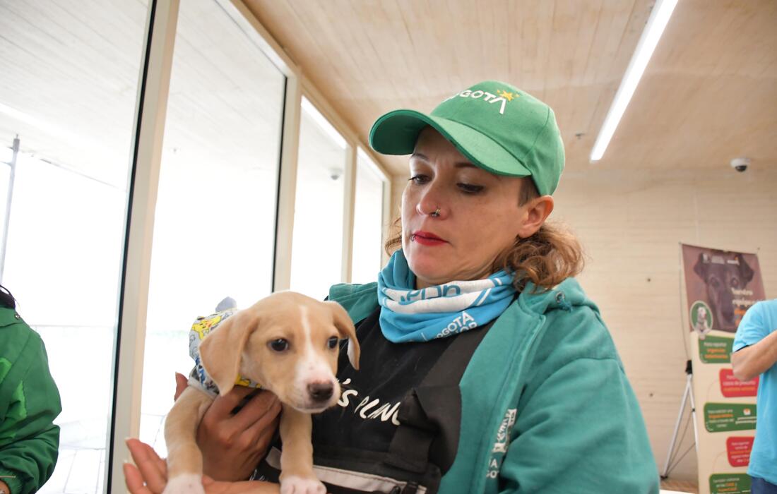 Proyectos para la defensa, protección y transformación en favor de los animales