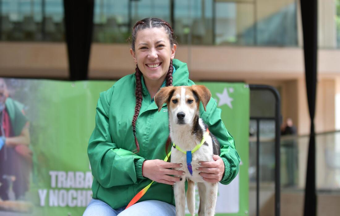 Proyectos para la defensa, protección y transformación en favor de los animales