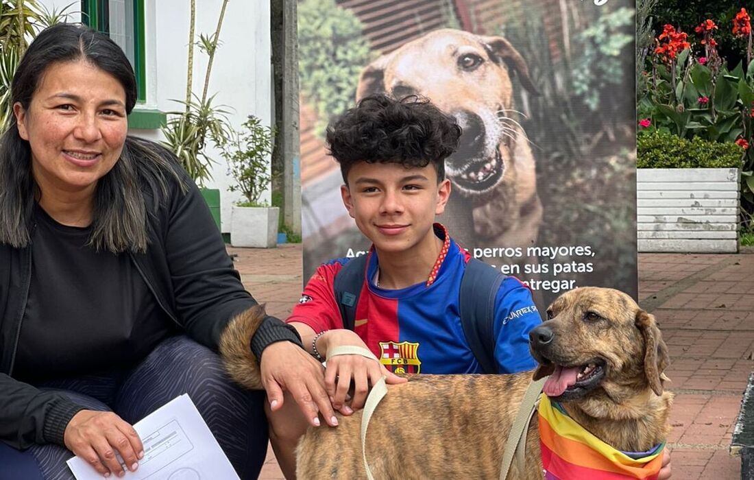 Jornada de adopción julio 19 Uca 
