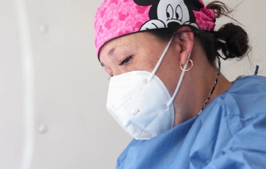 IDPYBA activa 4 puntos móviles de esterilización  animal en zonas estratégicas de Bogotá con 15 mil nuevos cupos