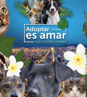 Adoptar es Amar sin Condiciones