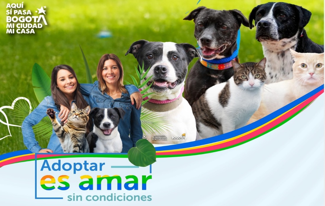 Theatrón abre sus puertas a una jornada de adopción para celebrar el amor sin condiciones
