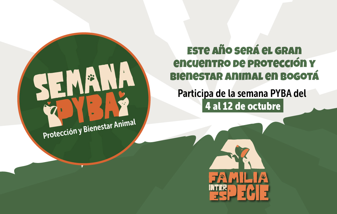 invitación semana Pyba