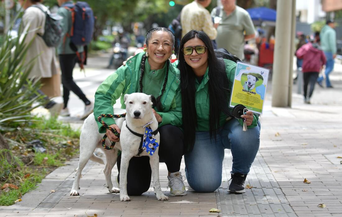 Día Mundial de los Animales con jornada de adopción y actividades pedagógicas