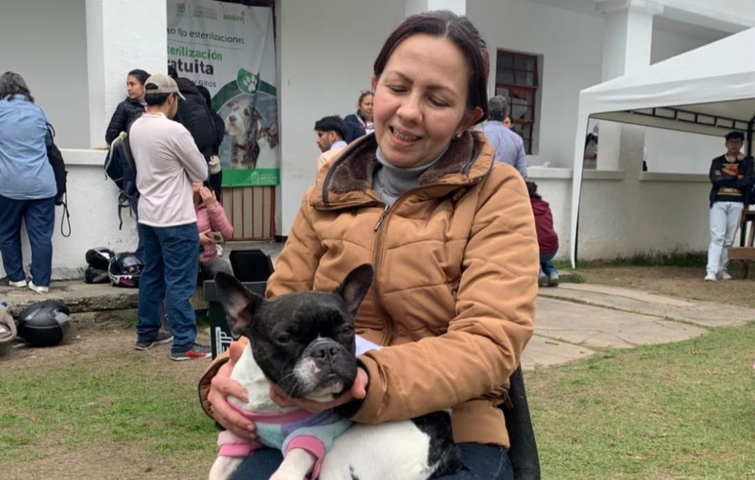 600 cupos esterilizaciones en la Universidad Nacional