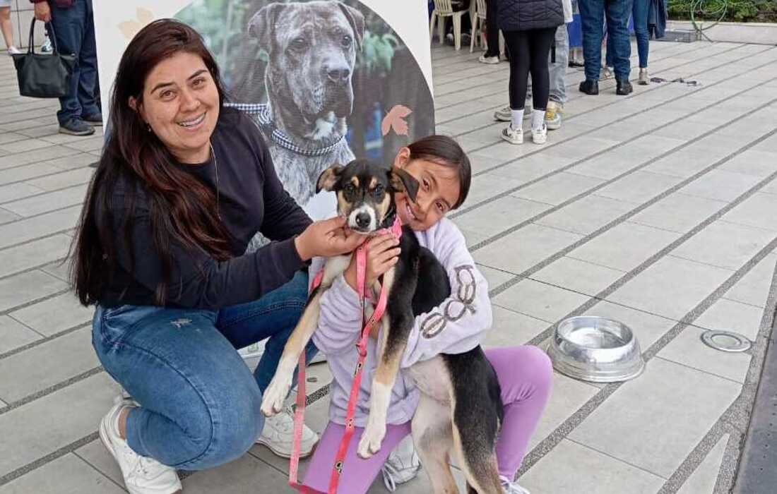 Jornada adopcion centro mayor