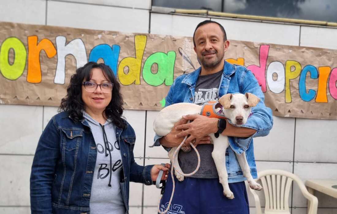 Jornada adopcion centro mayor