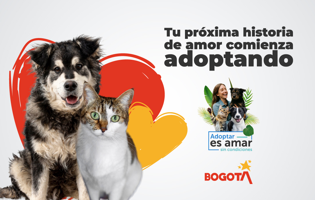  OPE se une al IDPYBA para promover la  adopción responsable de animales de compañía