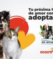 OPE se une al IDPYBA para promover la  adopción responsable de animales de compañía