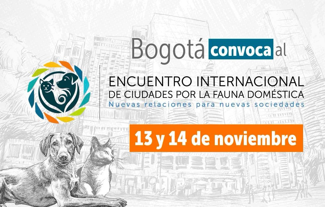 Bogotá convoca al Encuentro Internacional de Ciudades por la Fauna Doméstica en noviembre