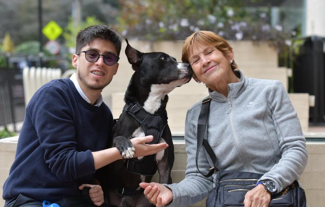 40 animales de compañía estarán en Mundo Aventura en busca de un hogar