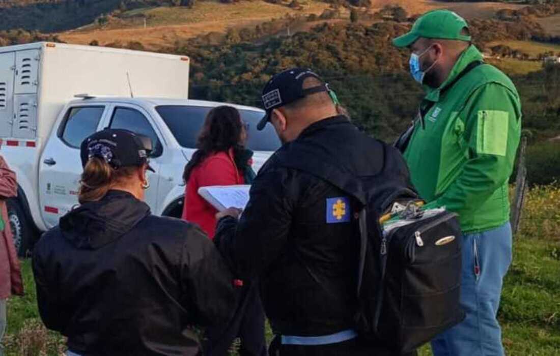La Alcaldía de Bogotá desmanteló presunto criadero ilegal en zona rural de Ciudad Bolívar