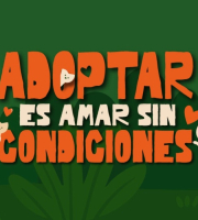 Diseño portada brochure 