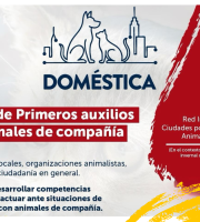 Información del curso Primeros Auxilios animales de compañia