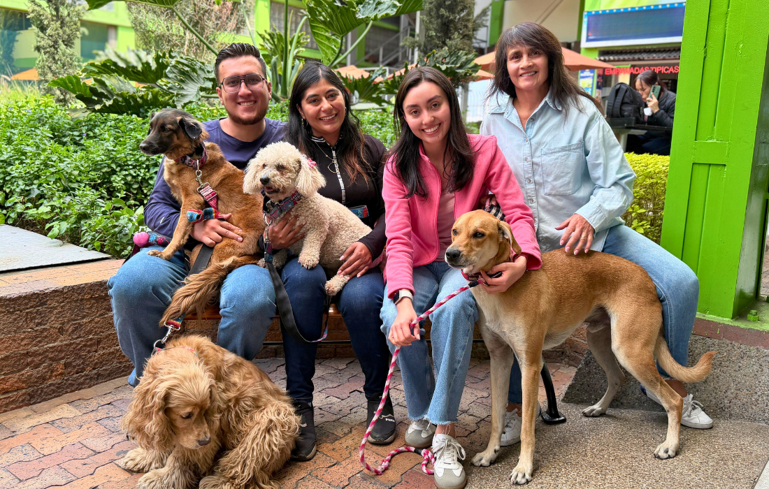 114 animales de compañía volvieron a sus familias interespecie a través de la página “Perros y Gatos Buscan su Hogar” de Bogotá