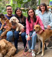 dos familias con sus perros durante su reencuentro