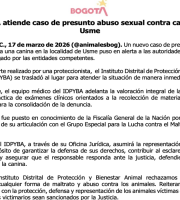 IDPYBA atiende caso de presunto abuso sexual contra canina en Usme