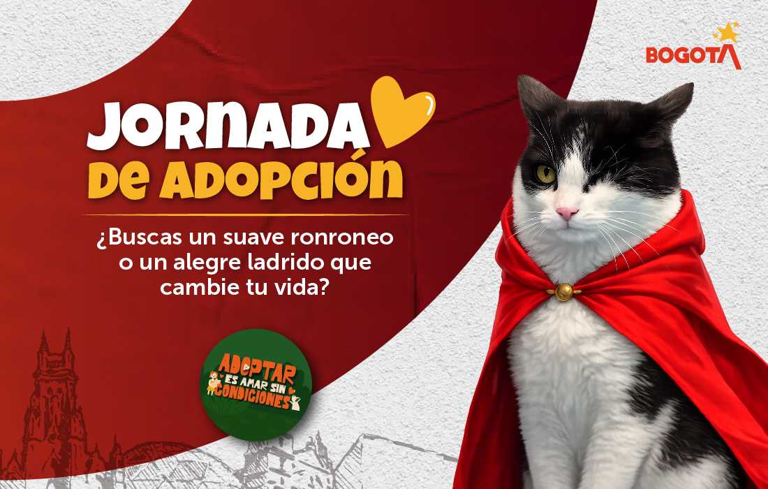 Adoptar es amar sin condiciones llega al Centro Comercial Unicentro