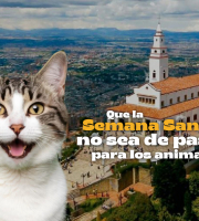 Pieza gráfica Sendero de mopnserrate