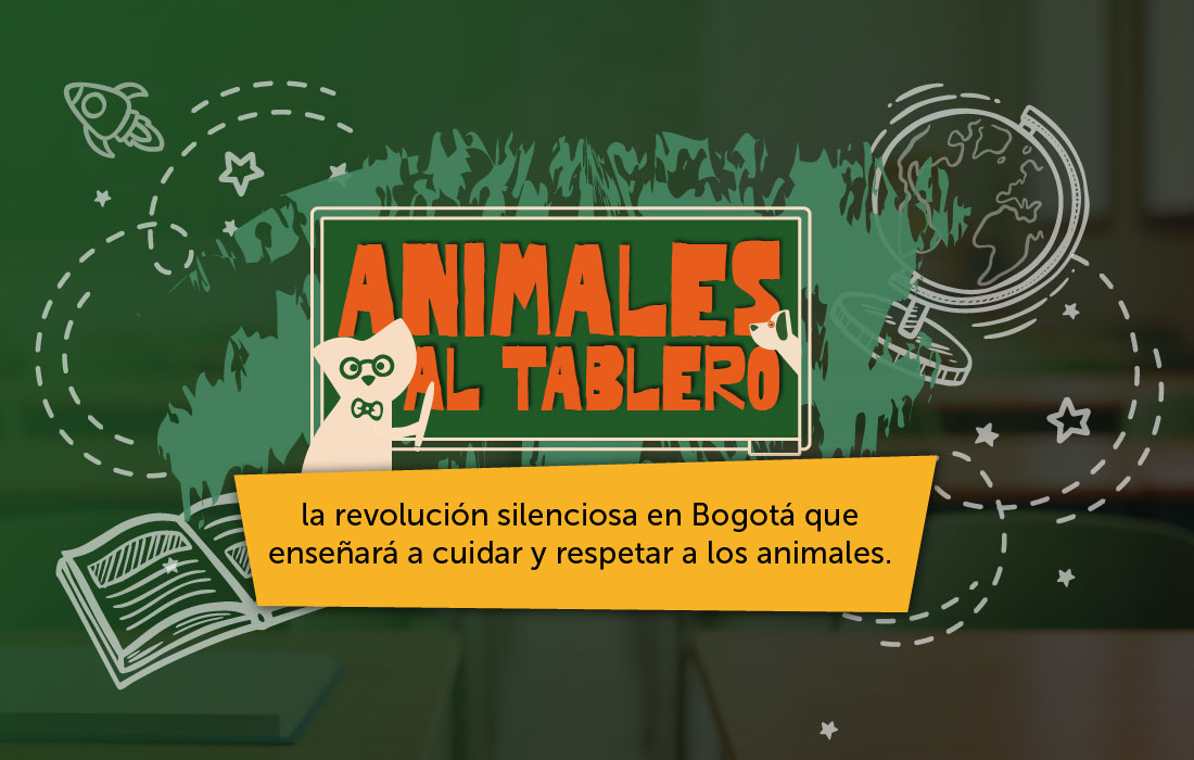 “Animales al Tablero”, la revolución silenciosa en Bogotá que enseñará a cuidar y respetar a los animales