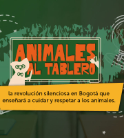 “Animales al Tablero”, la revolución silenciosa en Bogotá que enseñará a cuidar y respetar a los animales