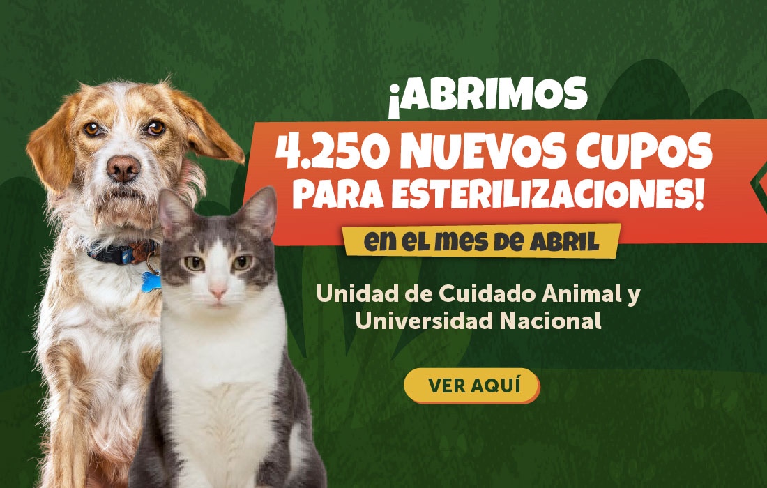 Bogotá fortalece el bienestar animal con 4.250 nuevos cupos de esterilización gratuita