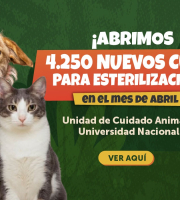 Bogotá fortalece el bienestar animal con 4.250 nuevos cupos de esterilización gratuita
