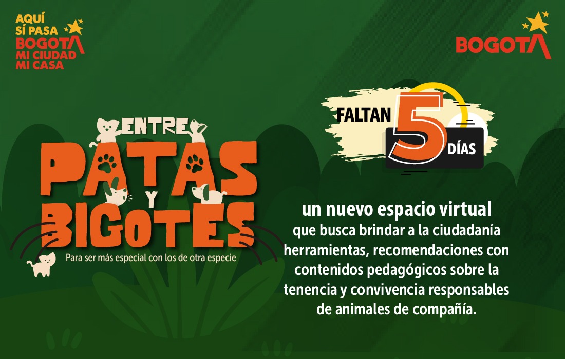 Imagen de la campaña patas y bigotes, en texto dice que fatan cinco dias para este espacio virtual 
