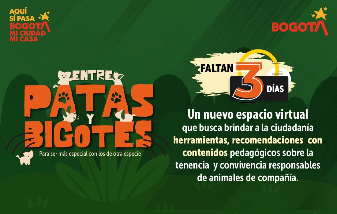 Imagen de la campaña patas y bigotes, en texto dice que fatan tres dias para este espacio virtual 