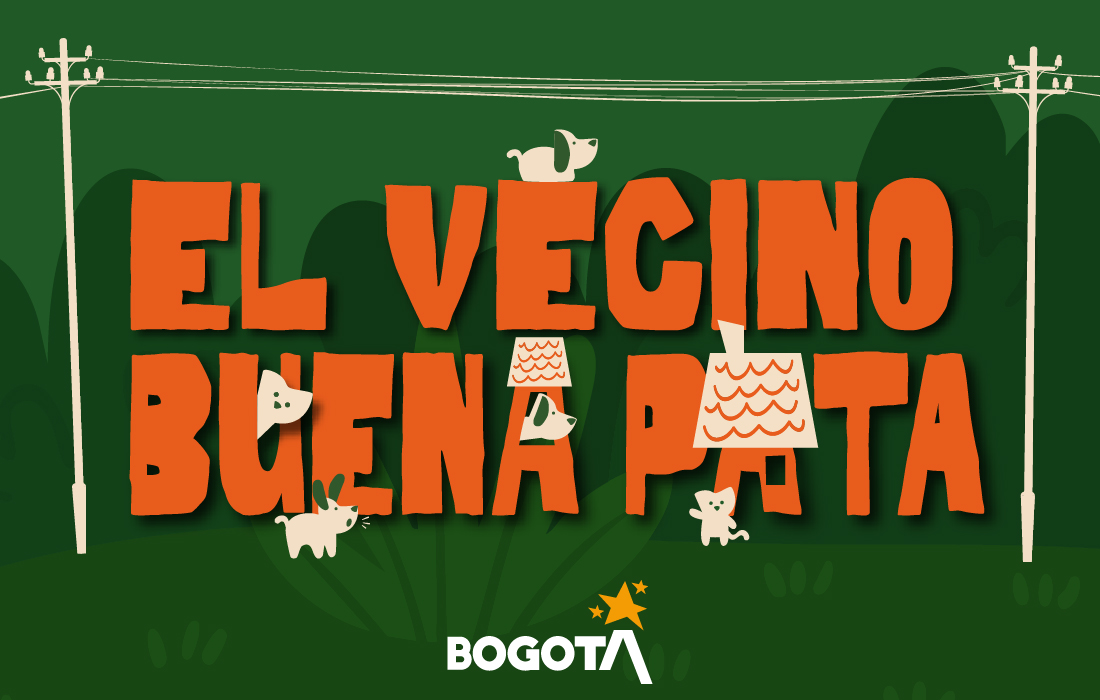 Bogotá abre inscripciones para los perros y/o gatos de barrio o cuadra en plataforma del IDPYBA
