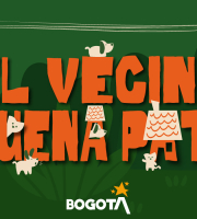 Bogotá abre inscripciones para los perros y/o gatos de barrio o cuadra en plataforma del IDPYBA