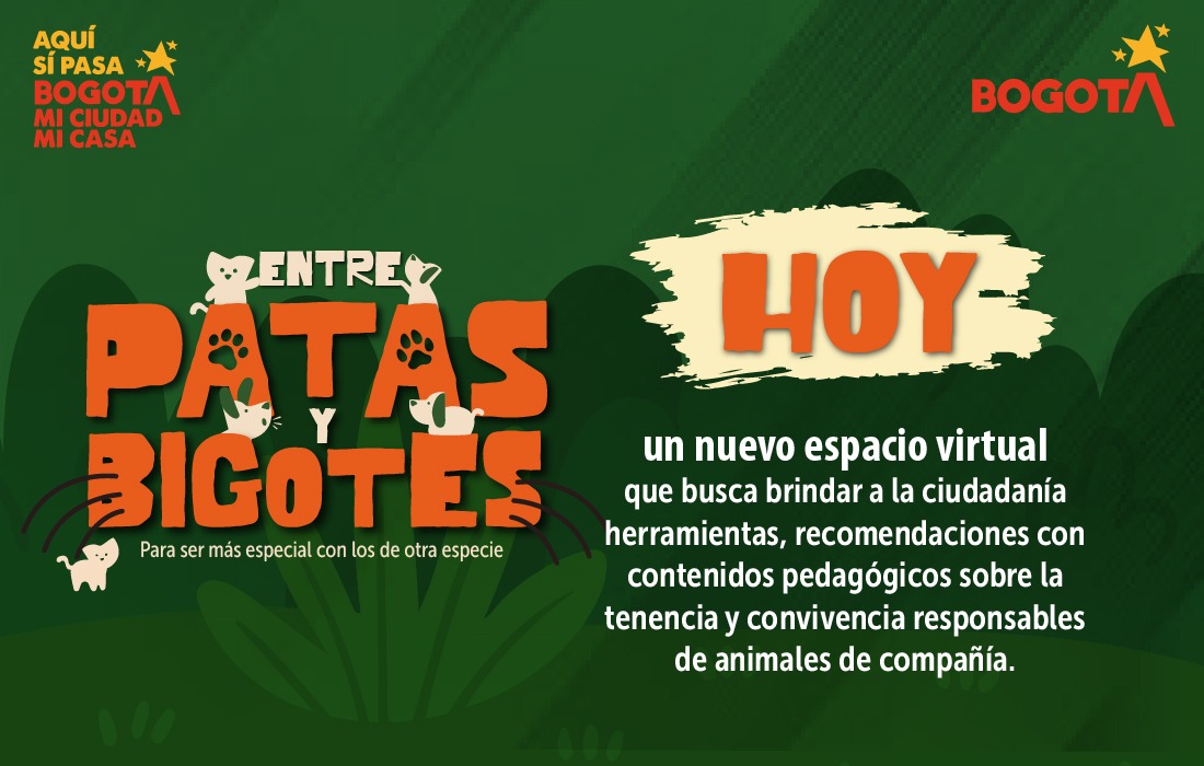 Imagen de la campaña patas y bigotes, en texto dice que fatan dos dias para este espacio virtual 