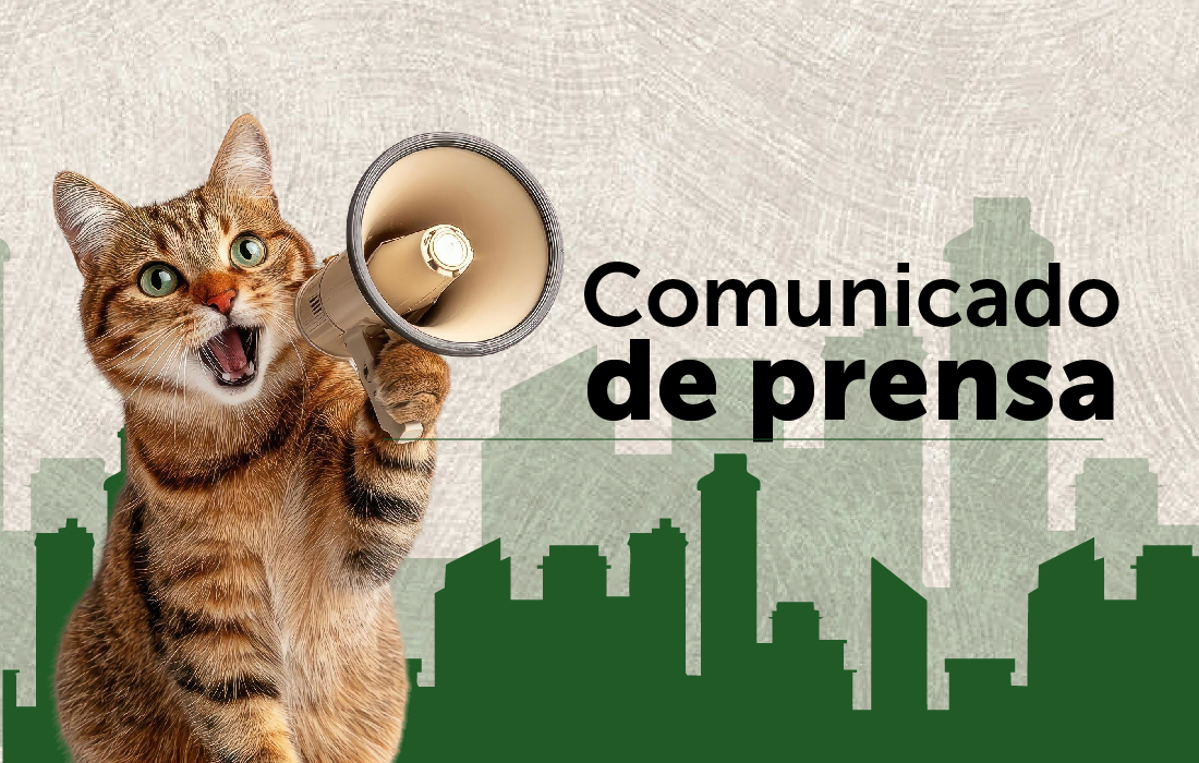 Gato con megafono y en letras dice: Comunicado de Prensa. 