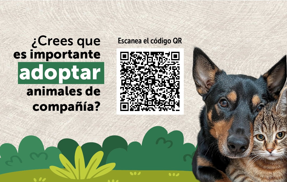 Perro y gato en fondo beige con código qr de la encuesta para escanear