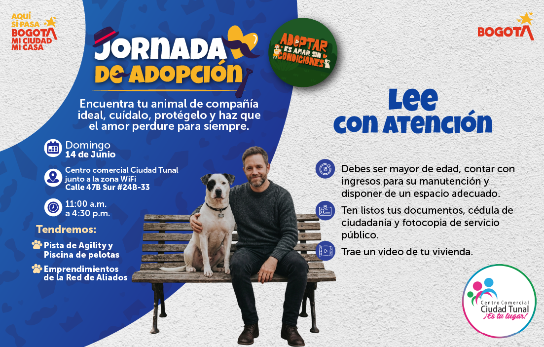 En el Mes del Padre, el IDPYBA invita a dar una segunda oportunidad a perros y gatos mayores adultos, en dos jornadas especiales de adopción