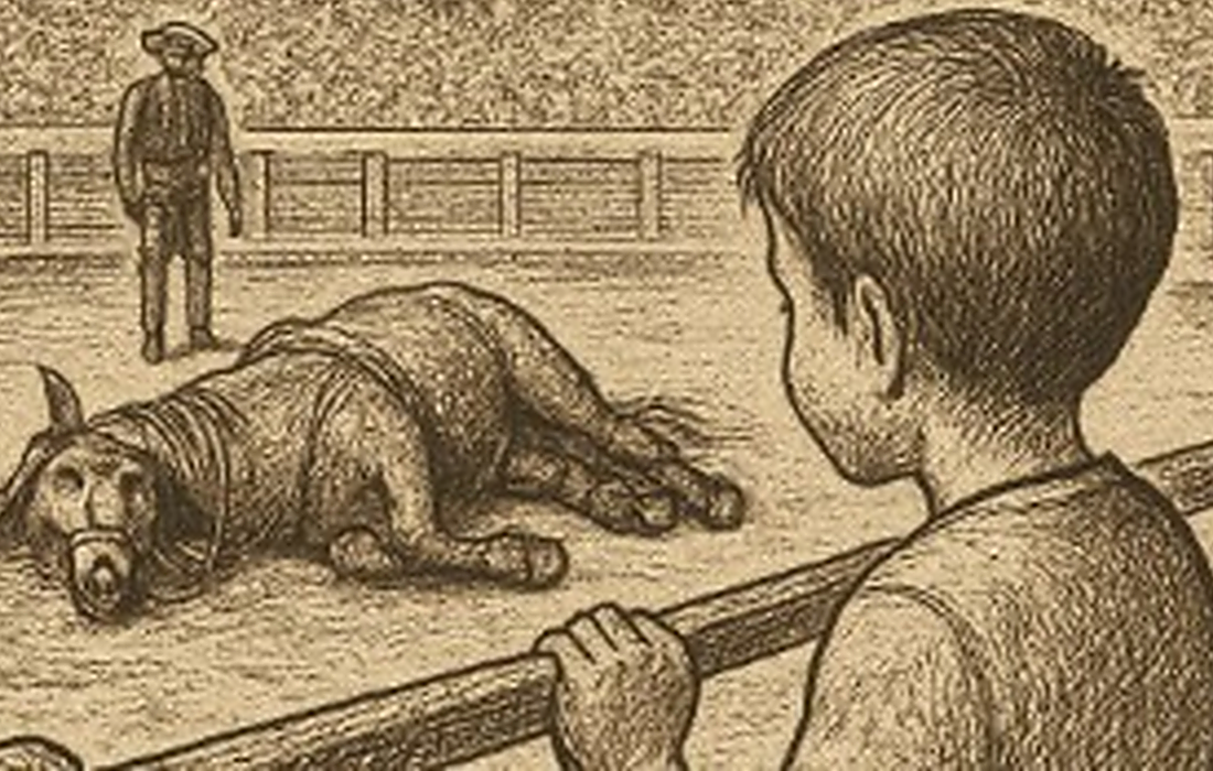 La Red Doméstica y la Fundación Franz Weber abren el curso “Infancia sin Violencia”:  para evitar la participación de menores en actividades taurinas y violencia contra los animales. 