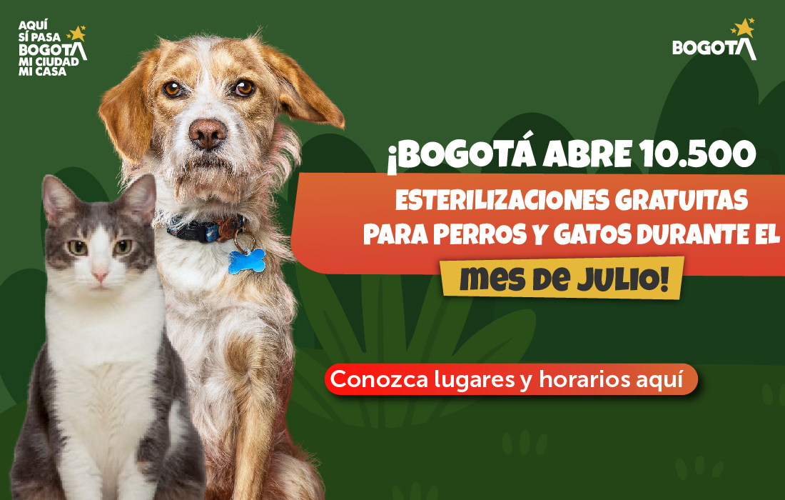 Bogotá abre más de 10.500 nuevos cupos gratuitos de esterilización para perros y gatos en julio