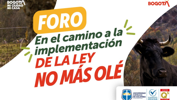 IDPYBA conmemora dos años de la Ley No Más Olé con un foro sobre sus retos de implementación